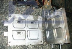 silicon-mould
